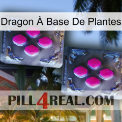 Dragon À Base De Plantes 01